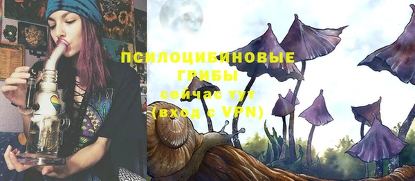 mix Кизел